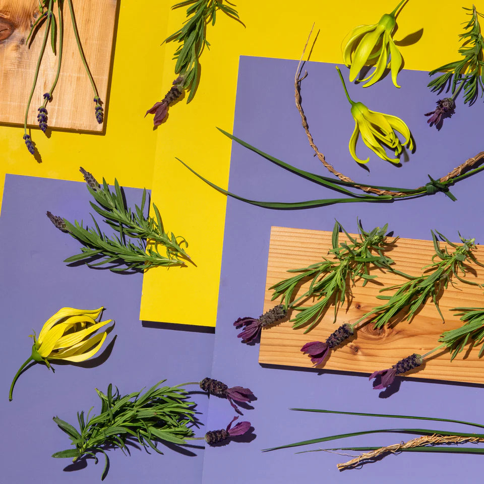 Lavender + Ylang