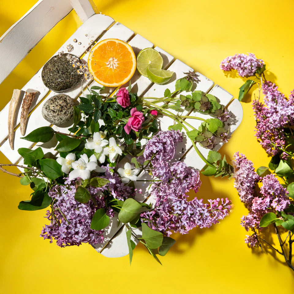Lilac Grove + Sweet Jasmine