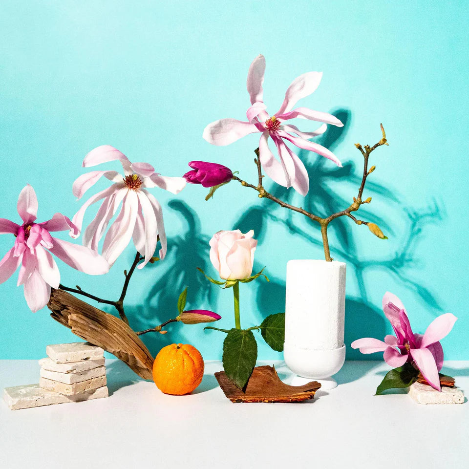 Magnolia + Sandalwood