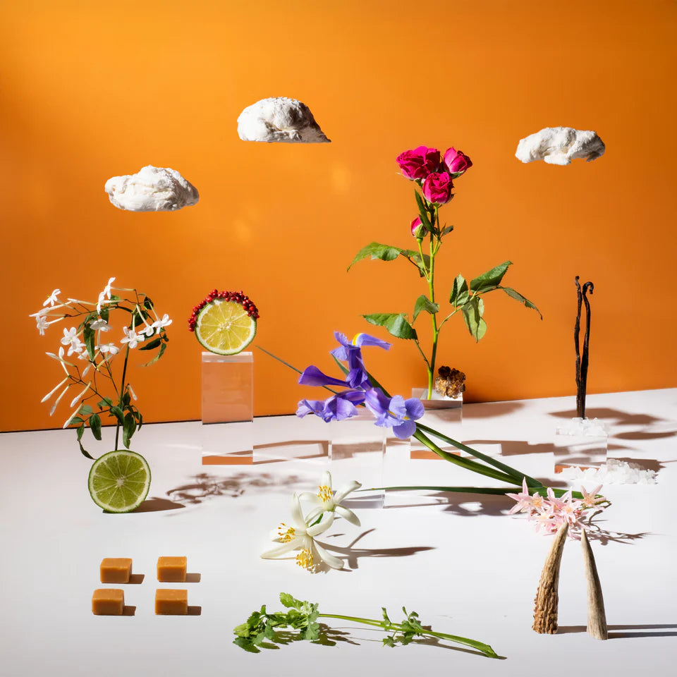 Orange Blossoms + Marshmallow Clouds